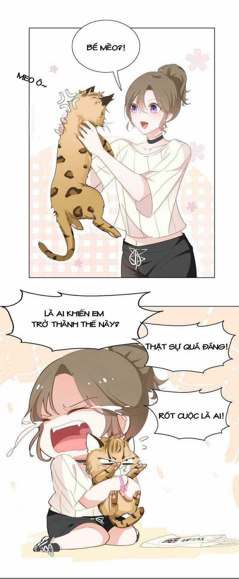 Thập Nhị Hắc Miêu - Chapter 1 - Trang 30