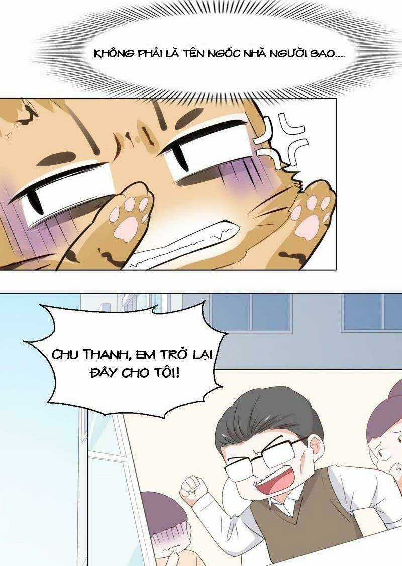 Thập Nhị Hắc Miêu - Chapter 1 - Trang 31