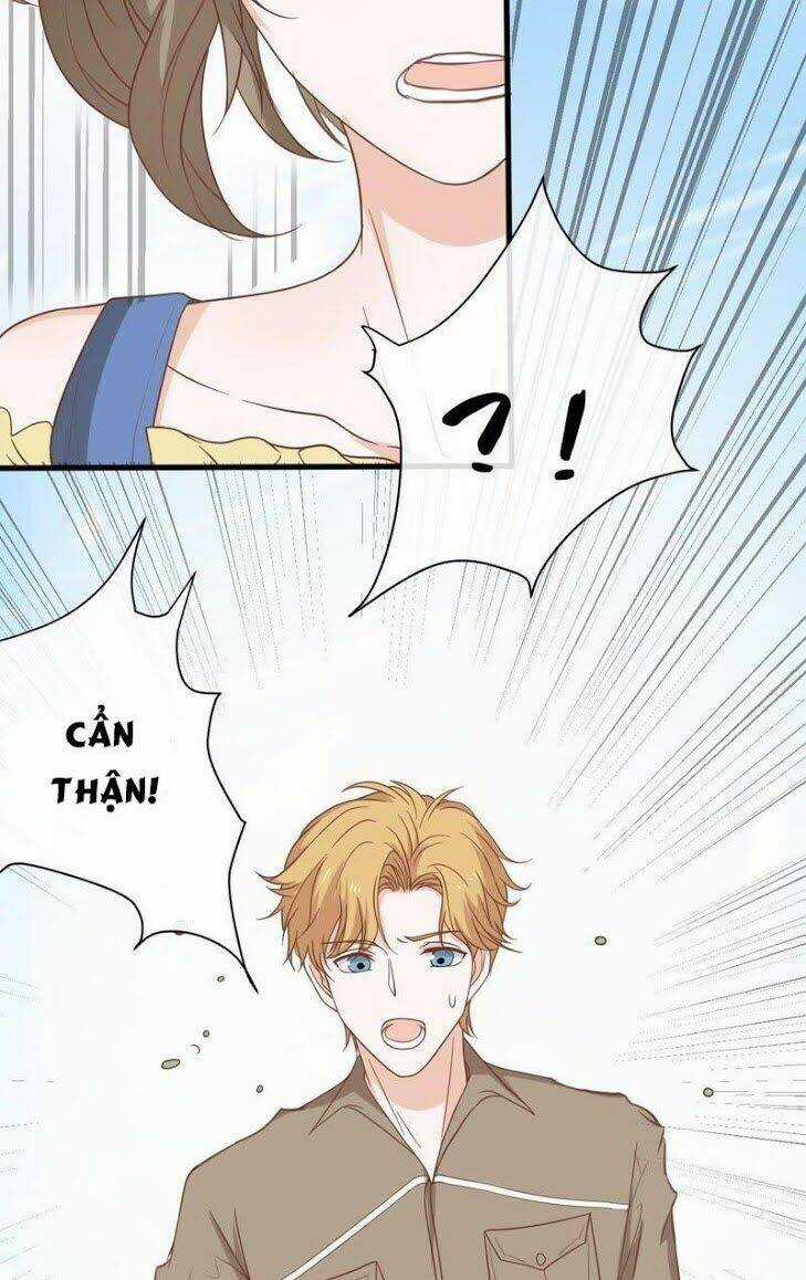 Thập Nhị Hắc Miêu - Chapter 12 - Trang 8