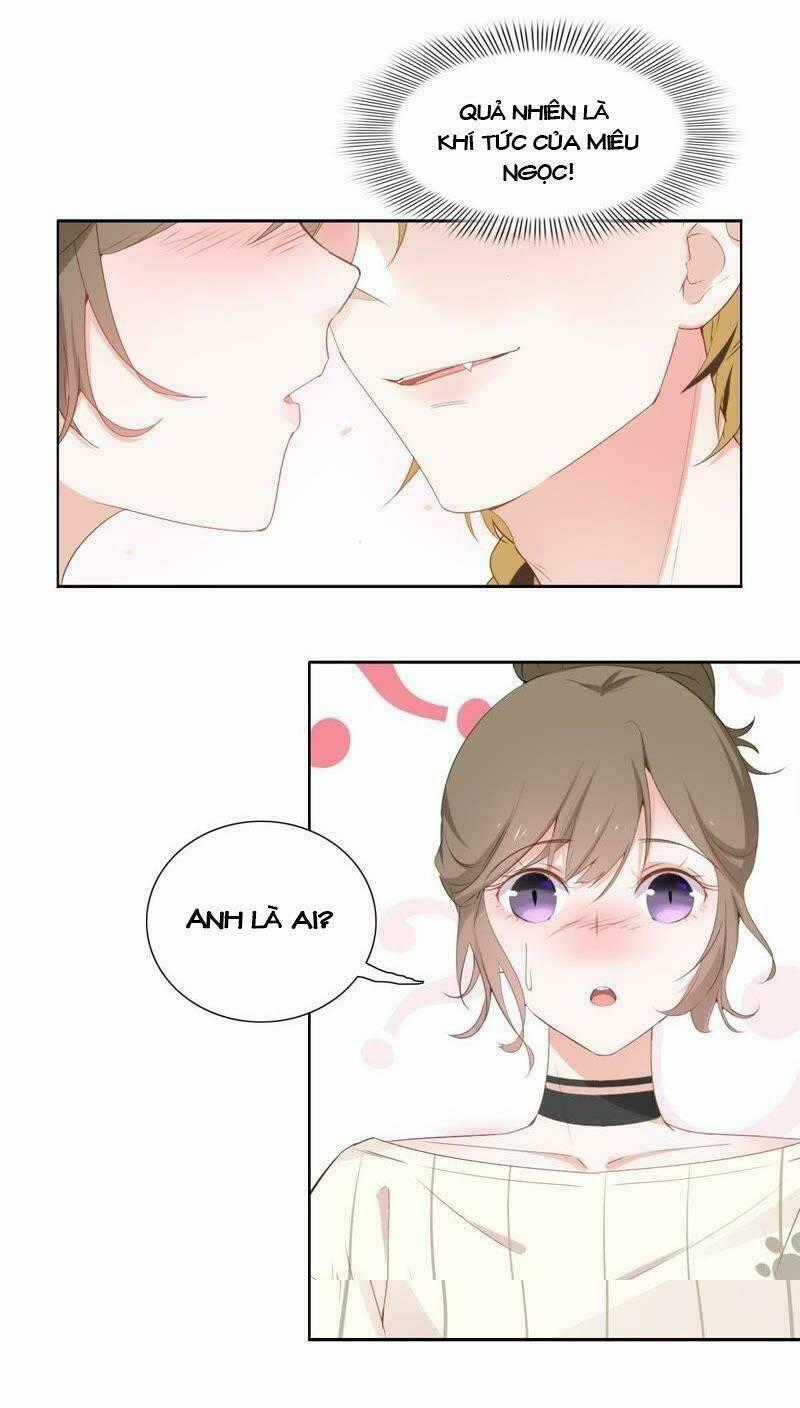 Thập Nhị Hắc Miêu - Chapter 2 - Trang 1