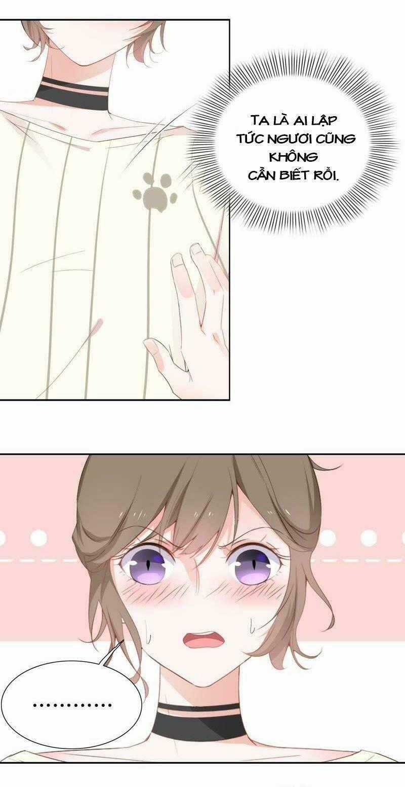 Thập Nhị Hắc Miêu - Chapter 2 - Trang 2