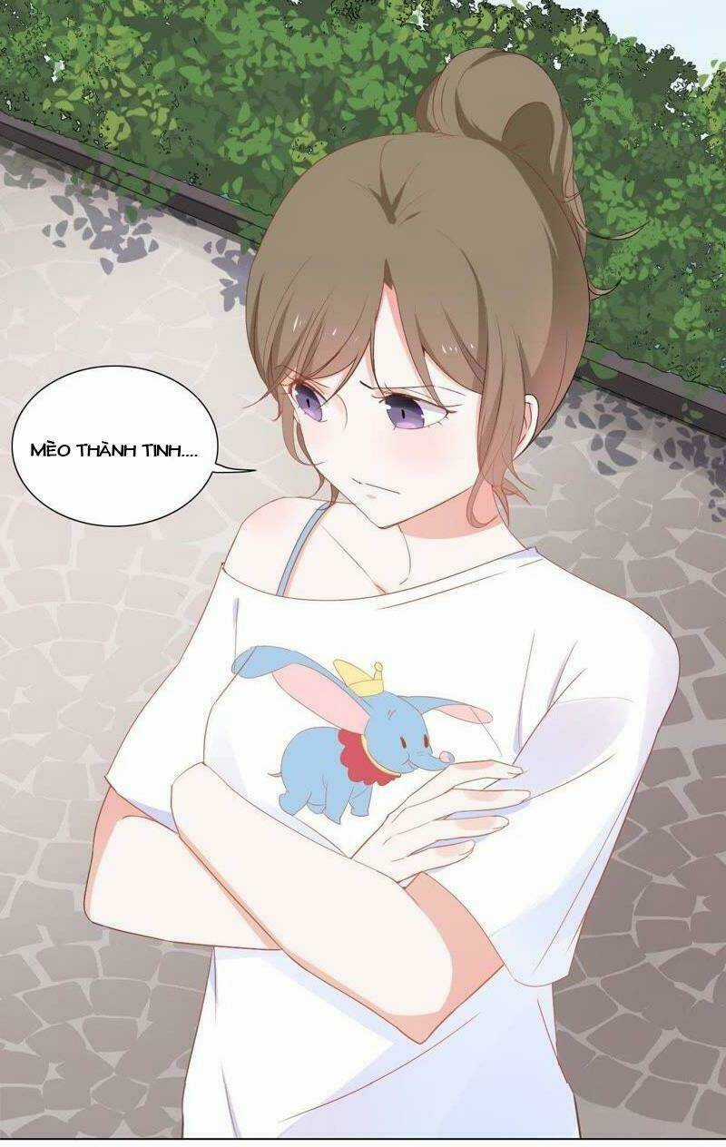 Thập Nhị Hắc Miêu - Chapter 2 - Trang 22