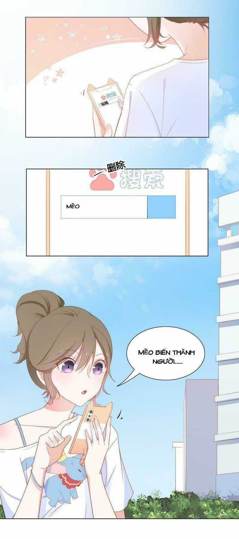 Thập Nhị Hắc Miêu - Chapter 2 - Trang 23