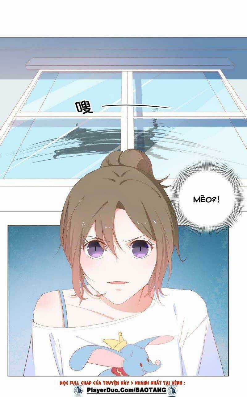 Thập Nhị Hắc Miêu - Chapter 2 - Trang 29