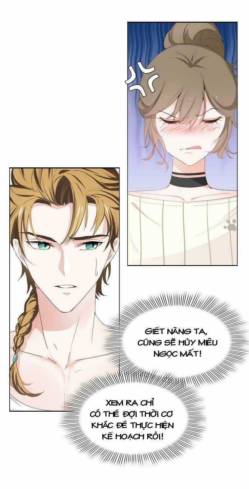 Thập Nhị Hắc Miêu - Chapter 2 - Trang 4