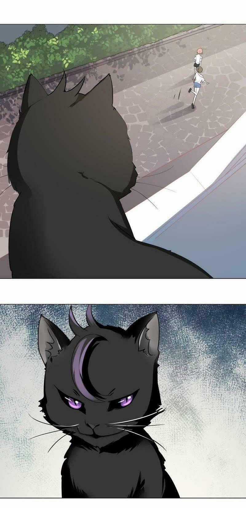 Thập Nhị Hắc Miêu - Chapter 2 - Trang 31