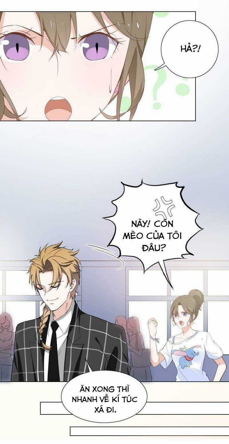 Thập Nhị Hắc Miêu - Chapter 4 - Trang 5