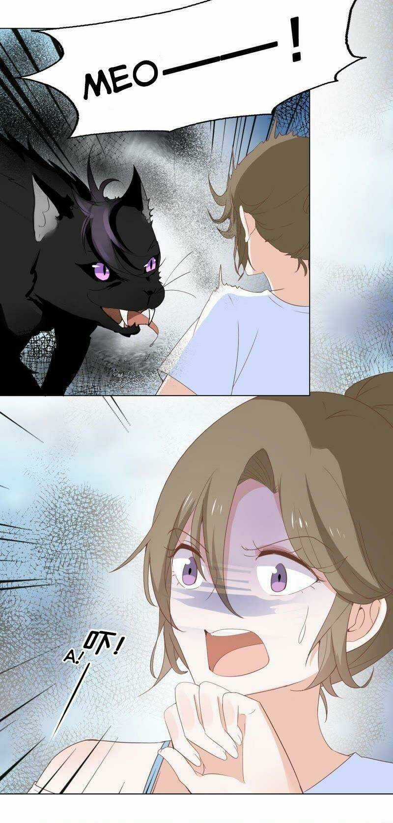 Thập Nhị Hắc Miêu - Chapter 4 - Trang 10