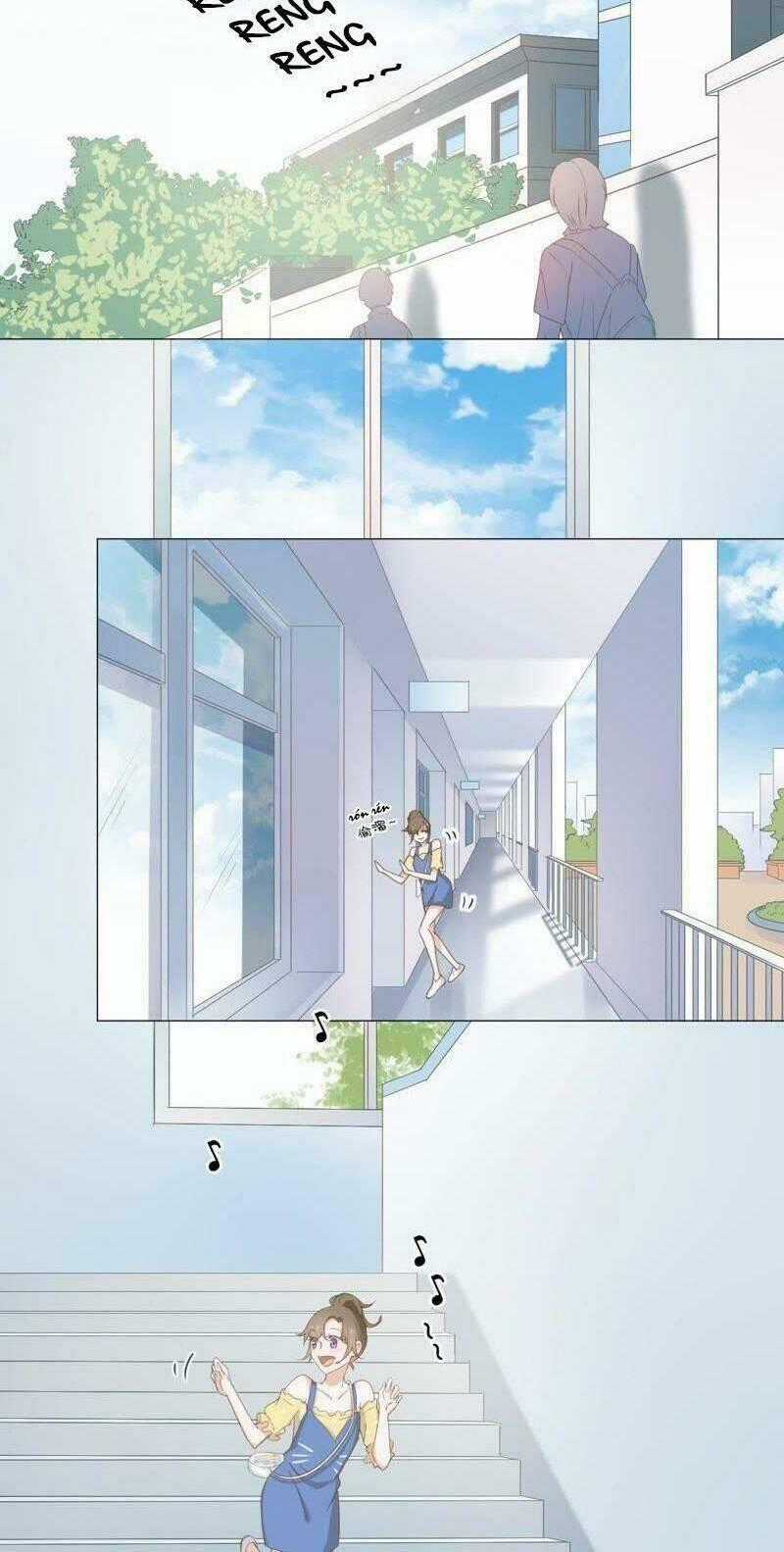 Thập Nhị Hắc Miêu - Chapter 8 - Trang 2