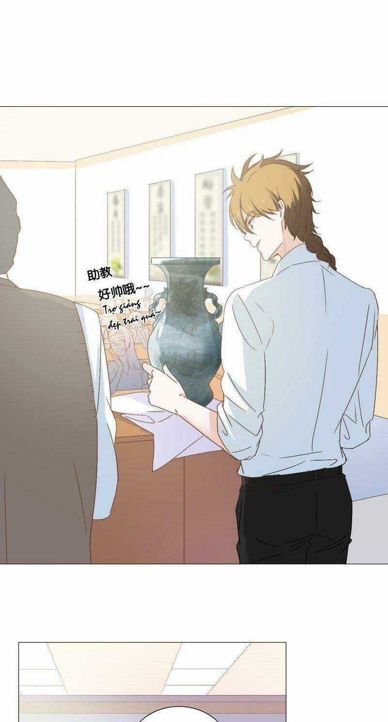 Thập Nhị Hắc Miêu - Chapter 8 - Trang 7