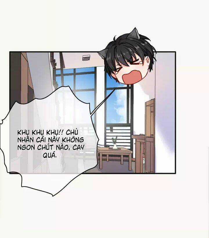 Thập Quang Mật Ngữ - Chapter 12 - Trang 7