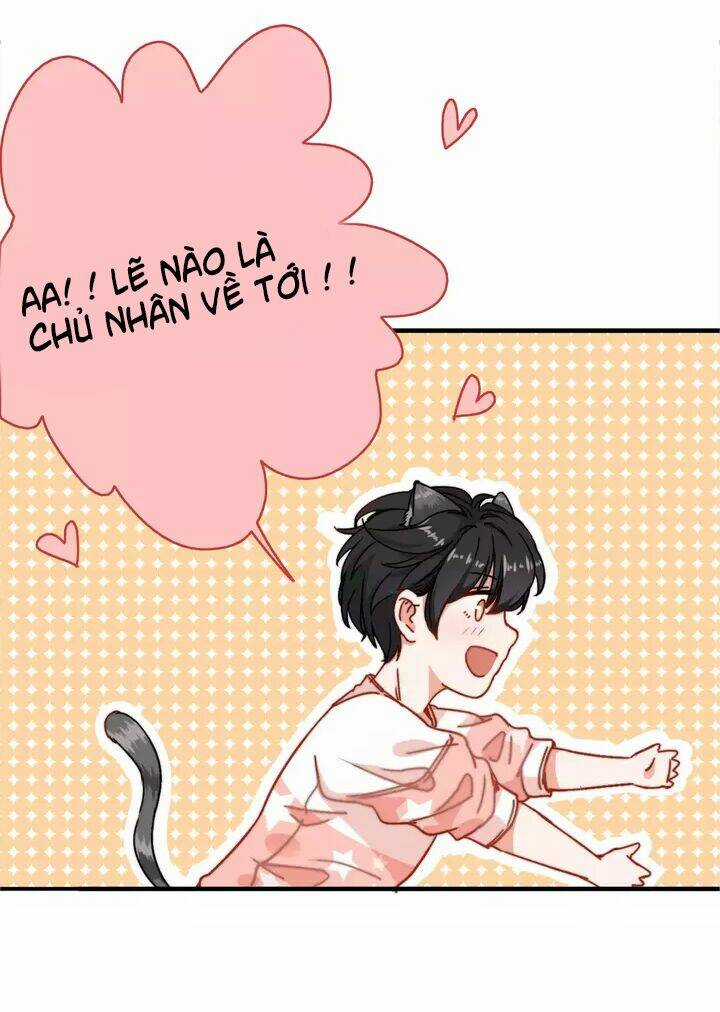 Thập Quang Mật Ngữ - Chapter 13 - Trang 8