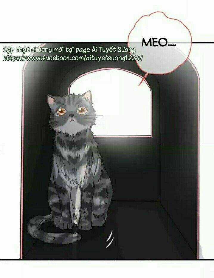 Thập Quang Mật Ngữ - Chapter 5 - Trang 12