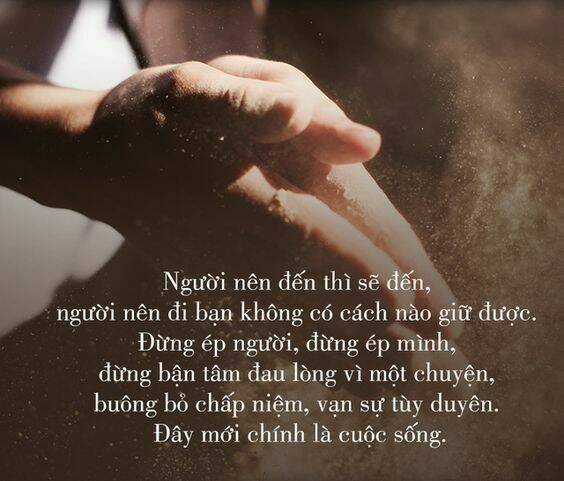 Thất Sách Chuyển Sinh - Chapter 19 - Trang 1