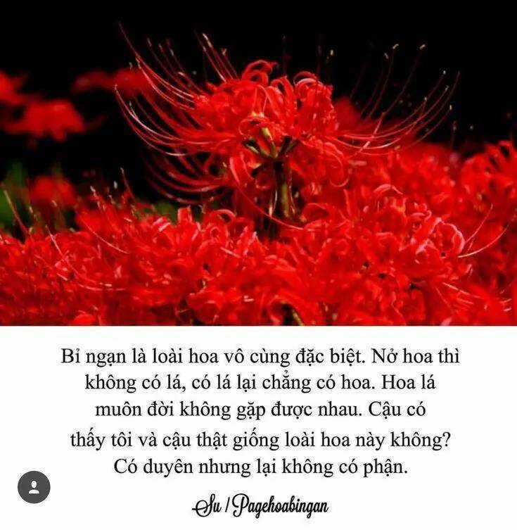 Thất Sách Chuyển Sinh - Chapter 19 - Trang 28