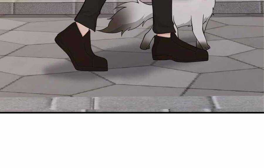 The Beginning After The End - Chapter 124 - Trang 219