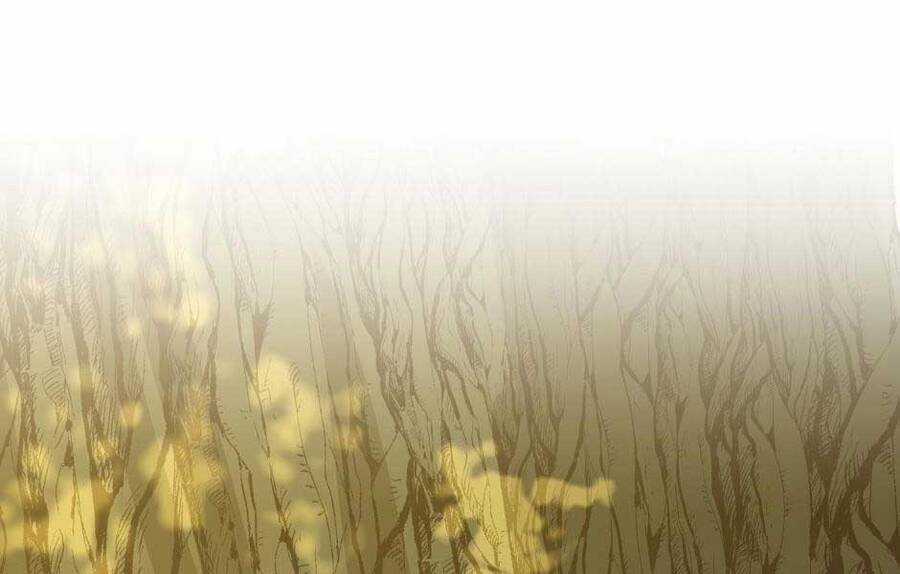 The Beginning After The End - Chapter 155 - Trang 214