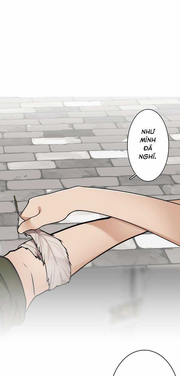 The Beginning After The End - Chapter 28 - Trang 31