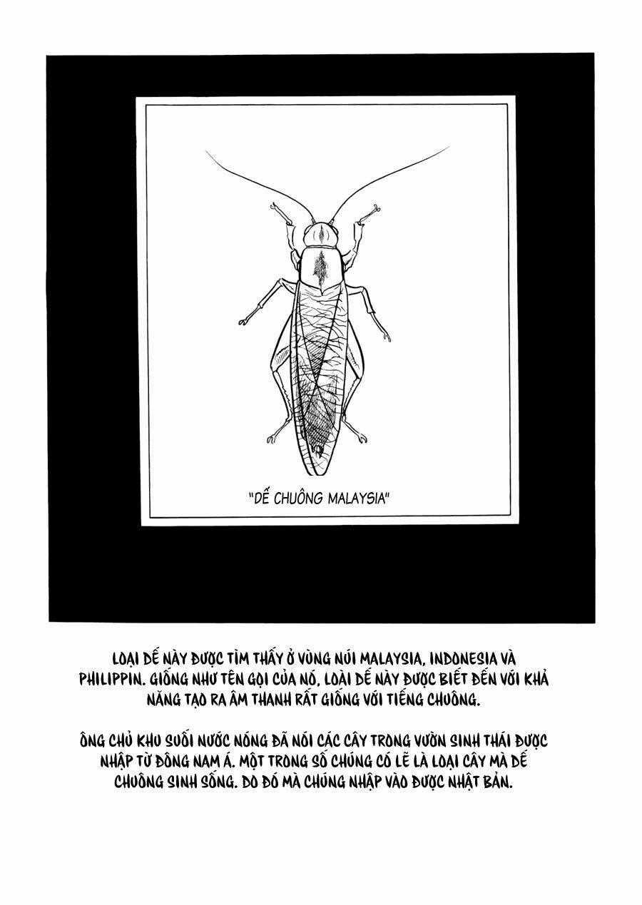 The Crater - Chapter 3 - Trang 30