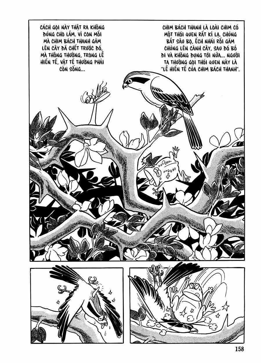 The Crater - Chapter 9 - Trang 2