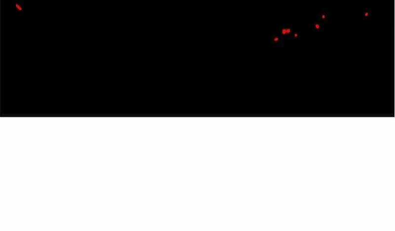 The Dungeon Master - Chapter 121 - Trang 40