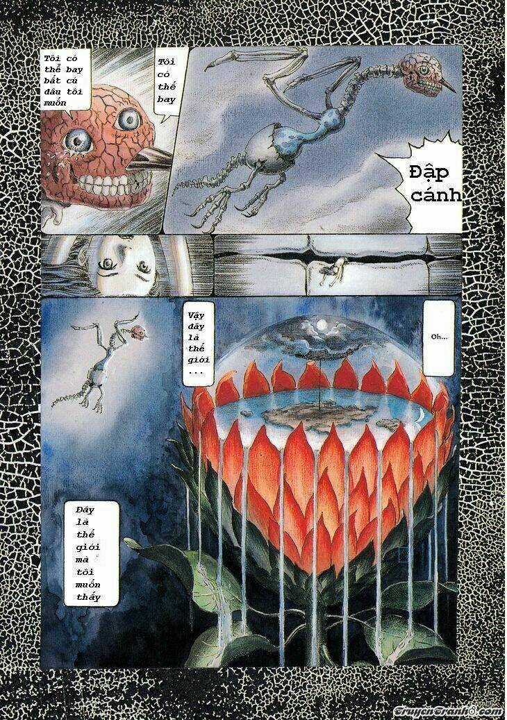 The Garden - Chapter 1 - Trang 17