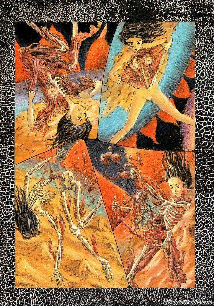 The Garden - Chapter 1 - Trang 19