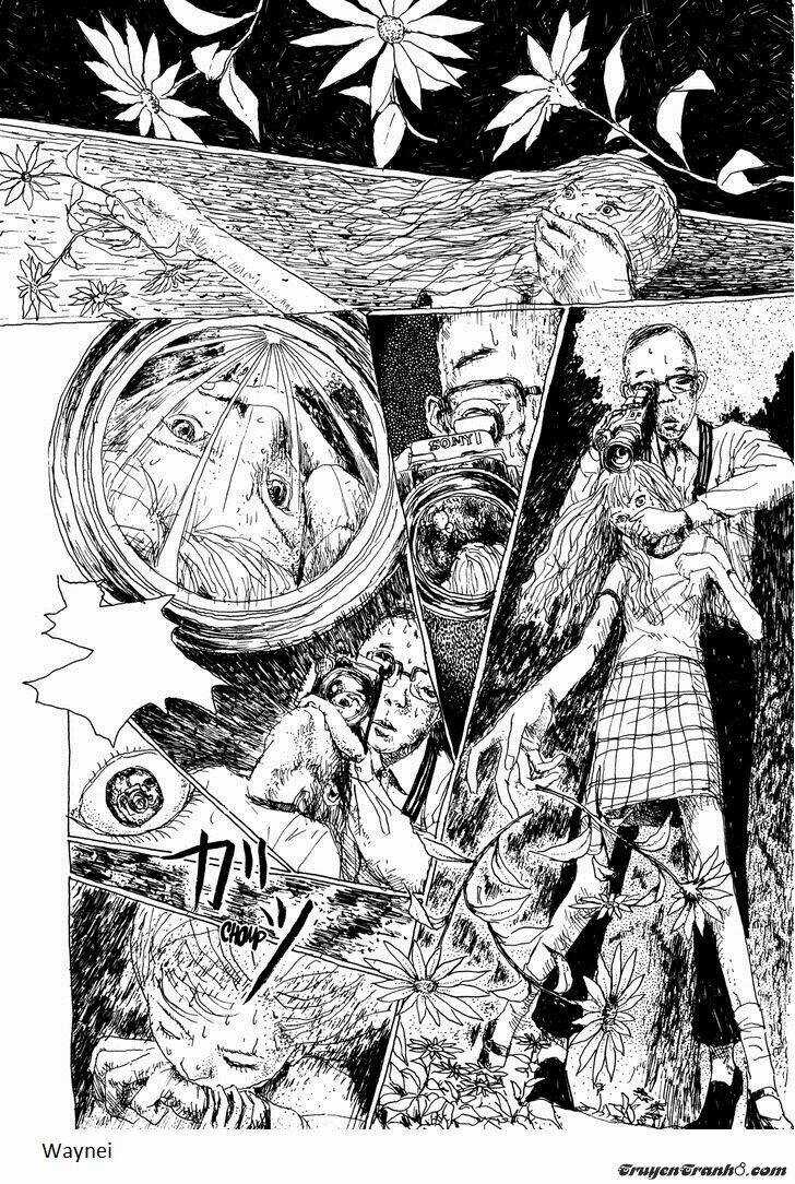 The Garden - Chapter 7 - Trang 8