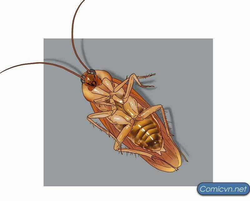 Thế Giới Cận Tử - Chapter 1 - Trang 1