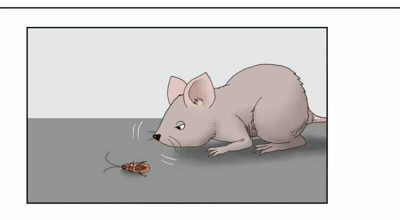 Thế Giới Cận Tử - Chapter 1 - Trang 2