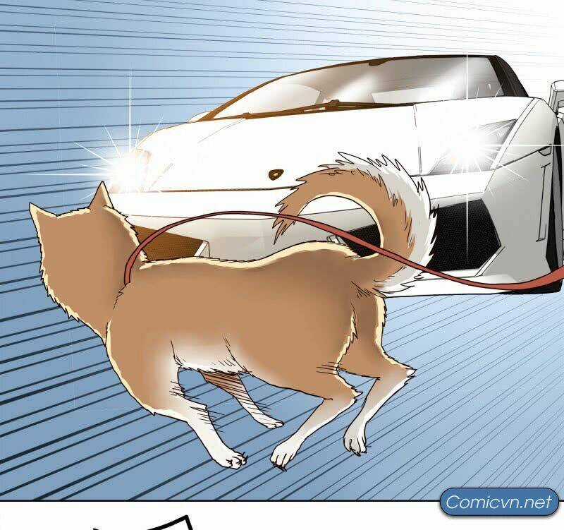 Thế Giới Cận Tử - Chapter 1 - Trang 11