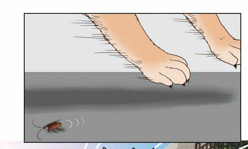 Thế Giới Cận Tử - Chapter 1 - Trang 5