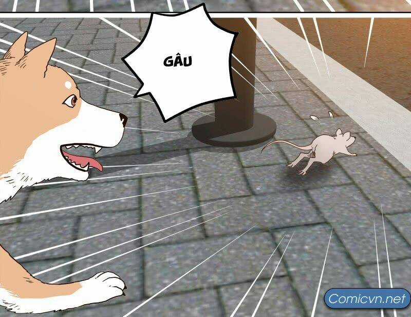 Thế Giới Cận Tử - Chapter 1 - Trang 7