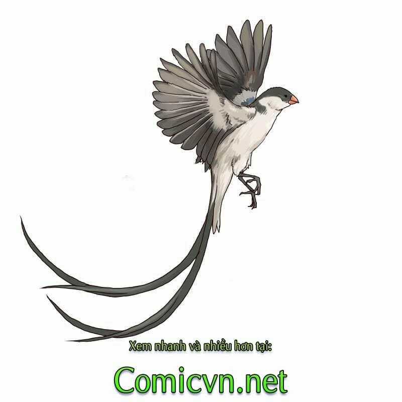 Thế Giới Cận Tử - Chapter 2 - Trang 27