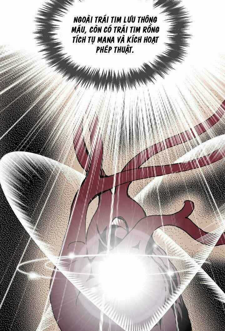 Thế Giới Võ Thuật Của Pháp Sư - Chapter 4 - Trang 10
