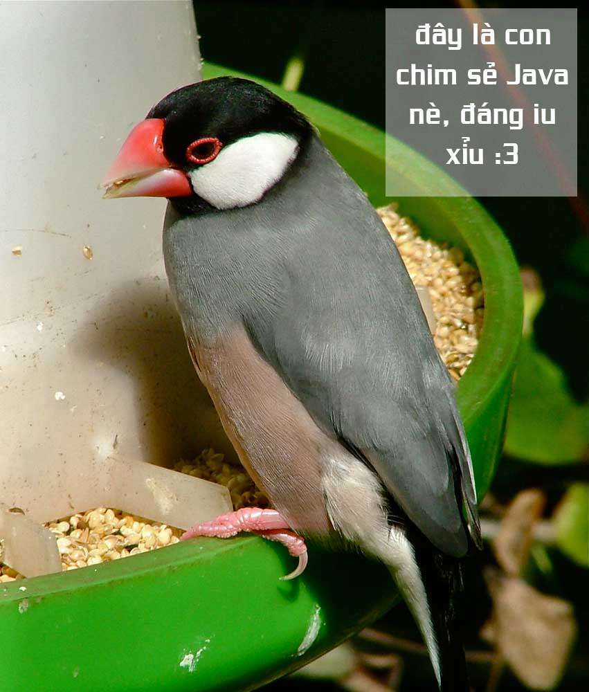 Thế Lực Ngầm - Chapter 41 - Trang 35