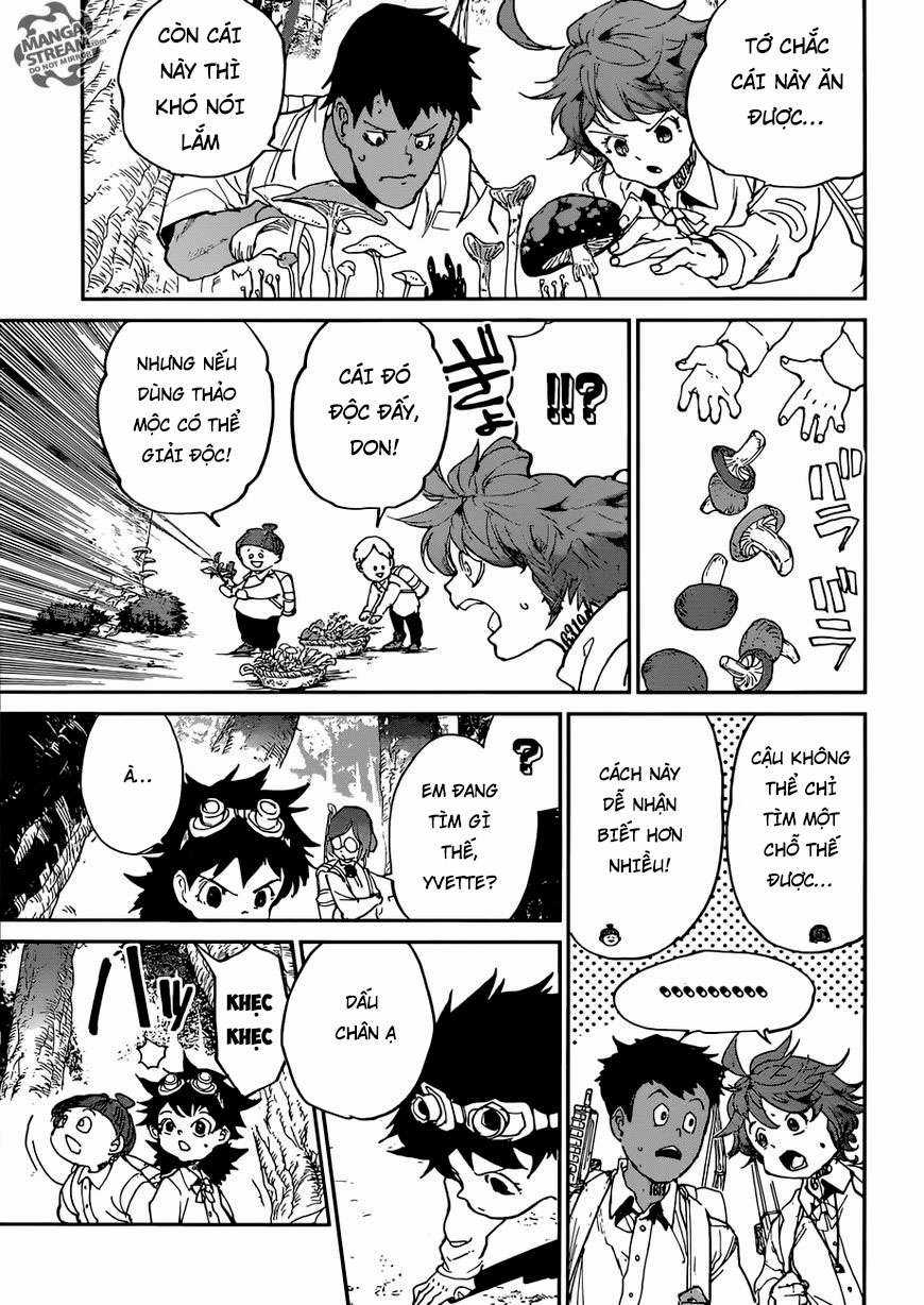 The Promised Neverland - Chapter 114 - Trang 8