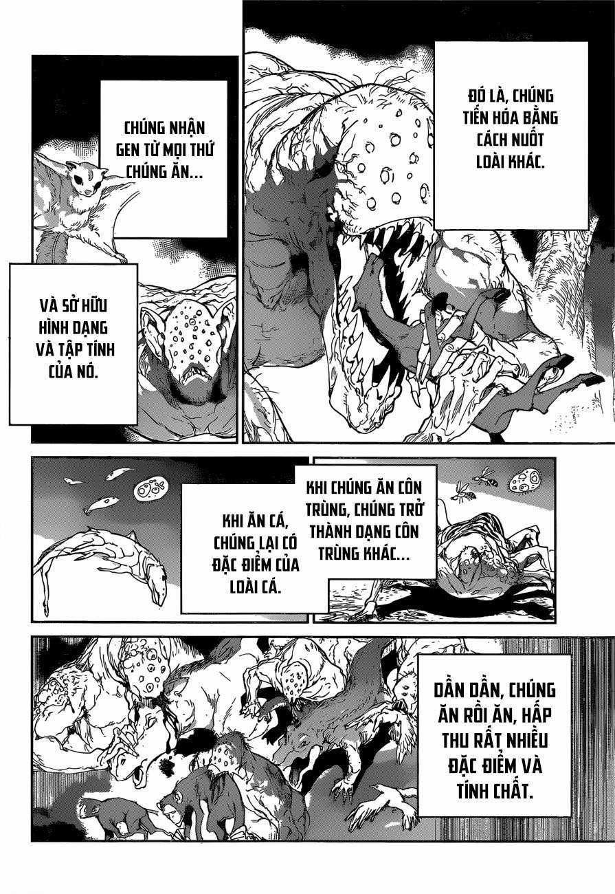 The Promised Neverland - Chapter 120 - Trang 4