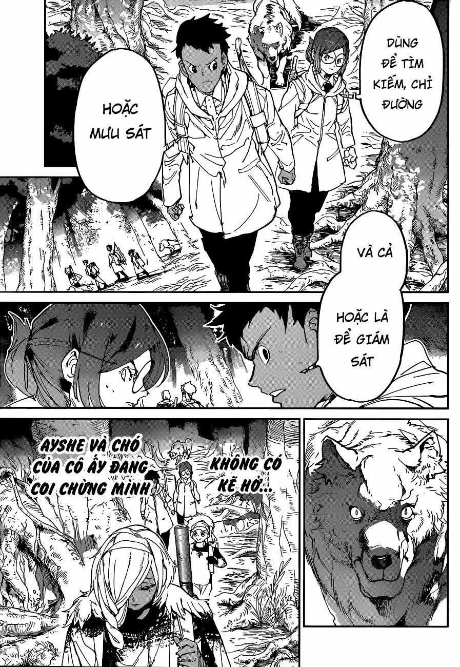 The Promised Neverland - Chapter 138 - Trang 12