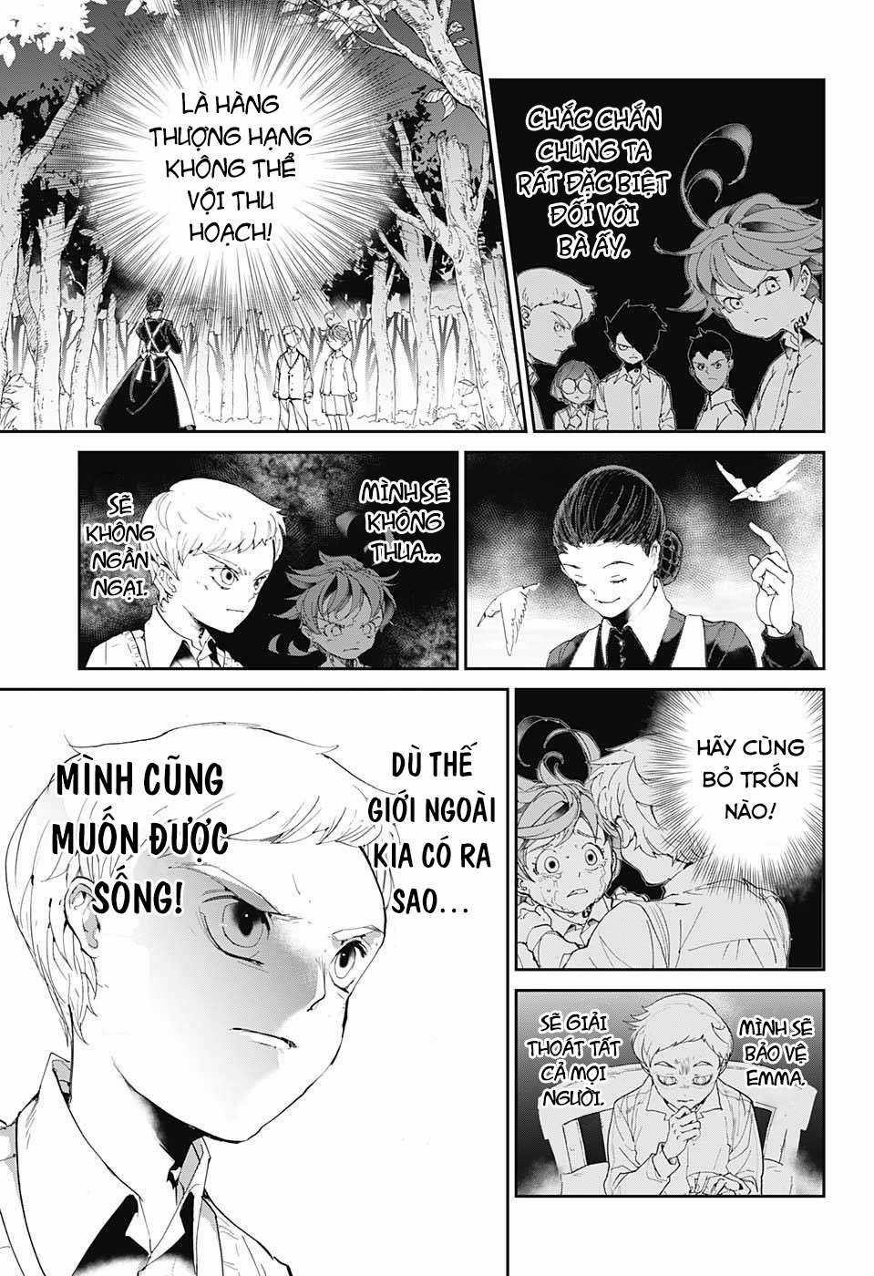 The Promised Neverland - Chapter 25 - Trang 12