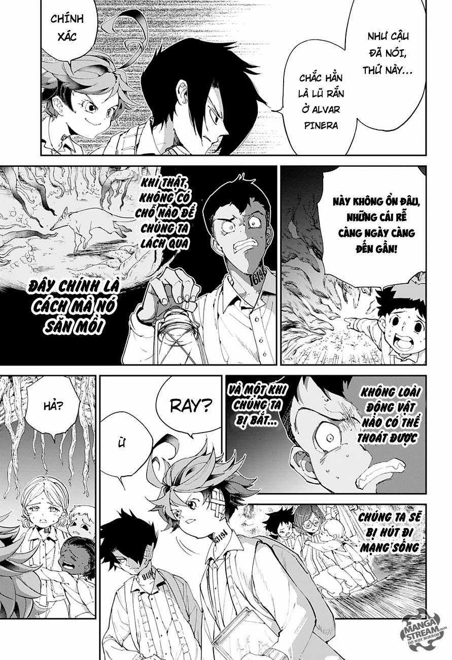 The Promised Neverland - Chapter 40 - Trang 10