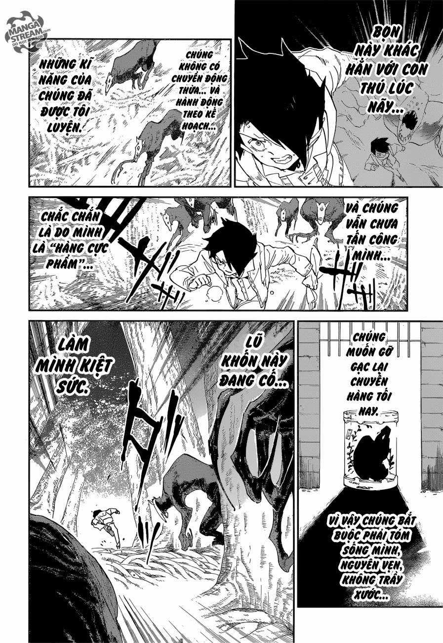 The Promised Neverland - Chapter 44 - Trang 8