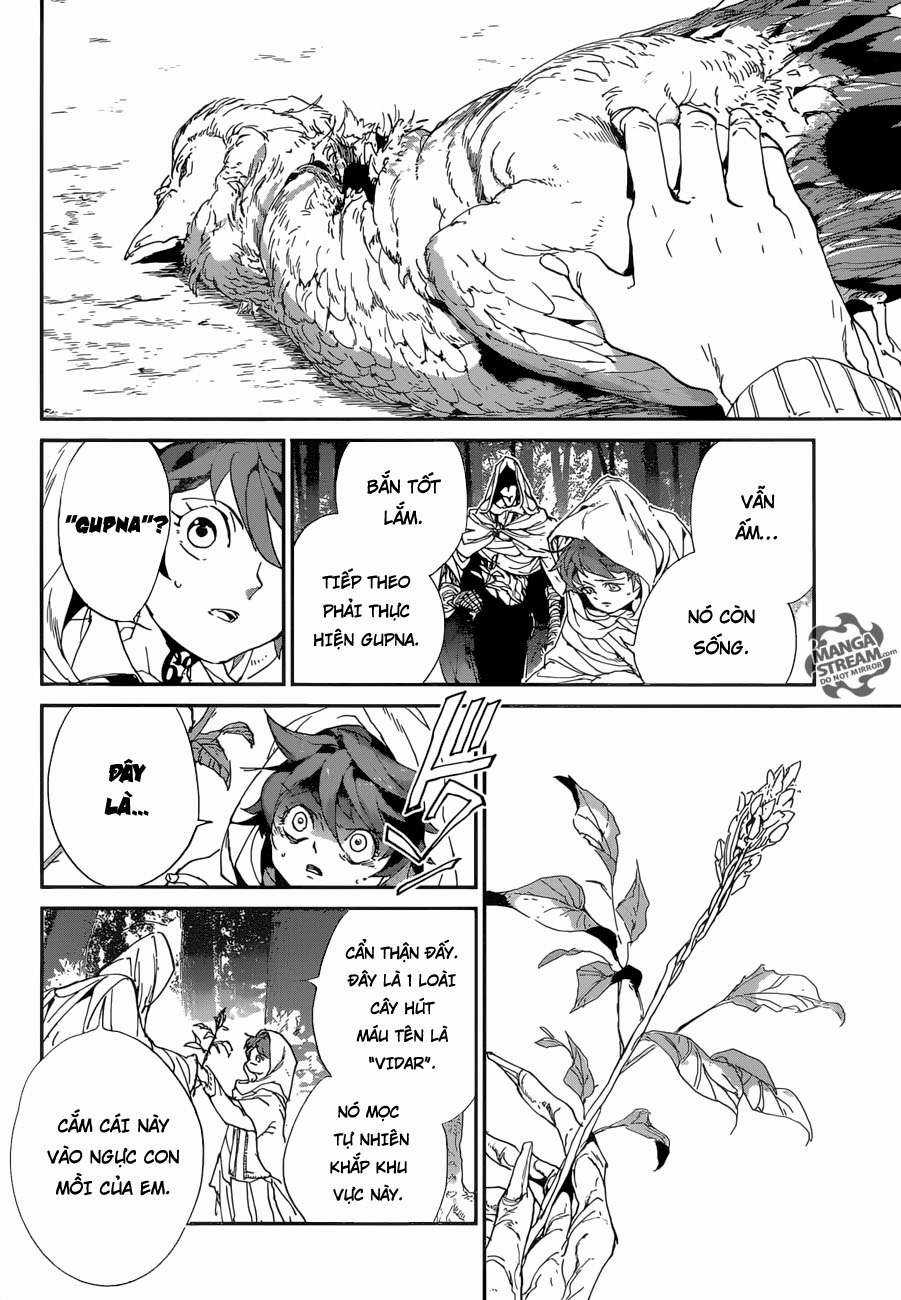 The Promised Neverland - Chapter 49 - Trang 13