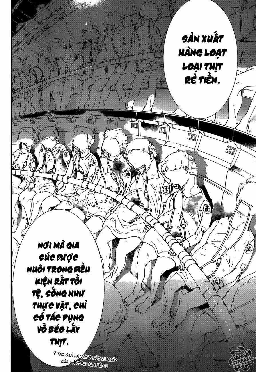 The Promised Neverland - Chapter 50 - Trang 10