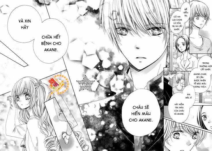 The Romantica Clock - Chapter 36 - Trang 25