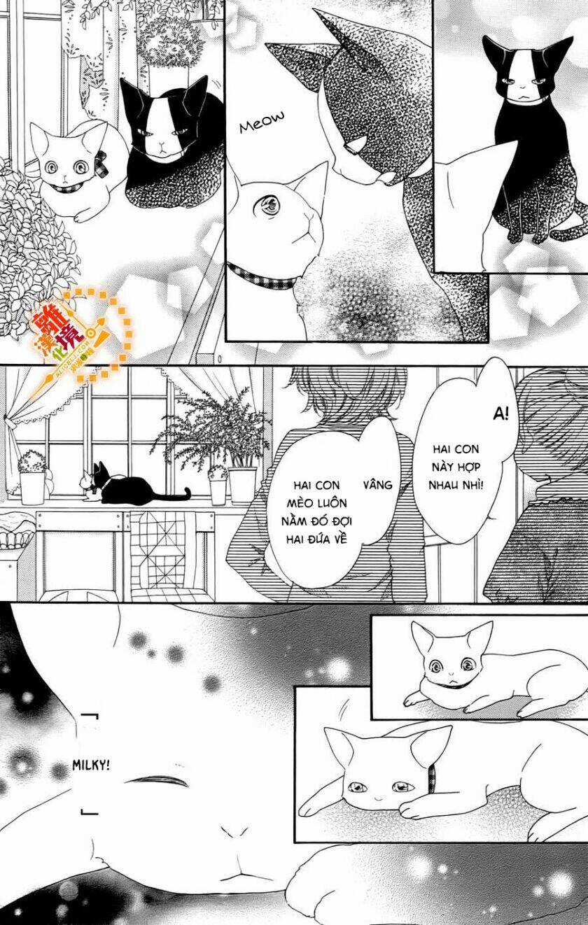 The Romantica Clock - Chapter 41.4 - Trang 15