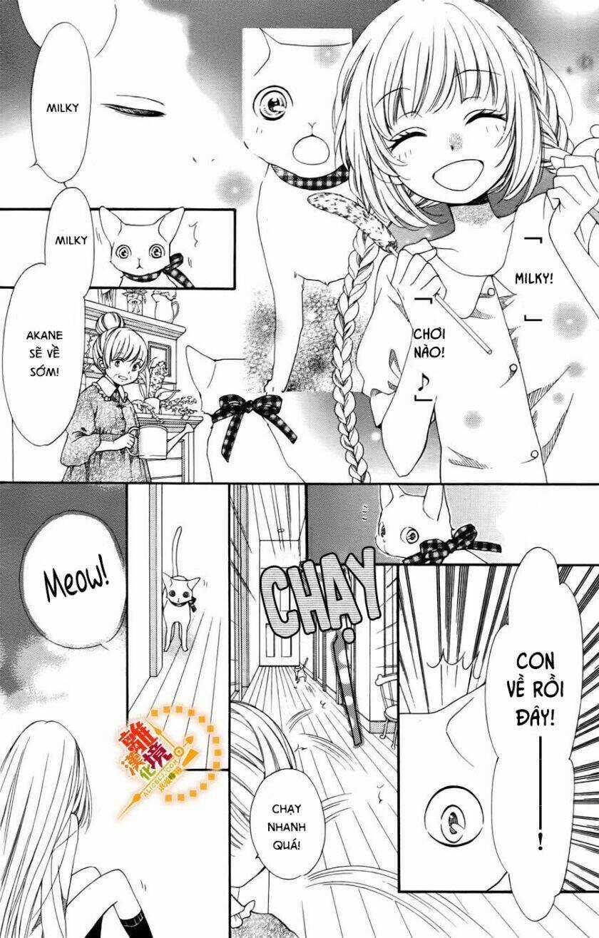 The Romantica Clock - Chapter 41.4 - Trang 16