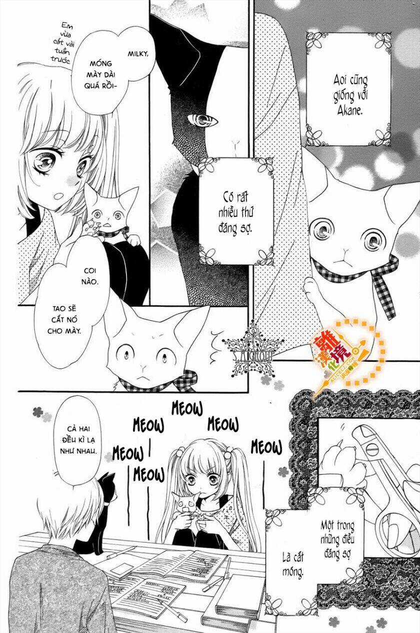 The Romantica Clock - Chapter 41.4 - Trang 6