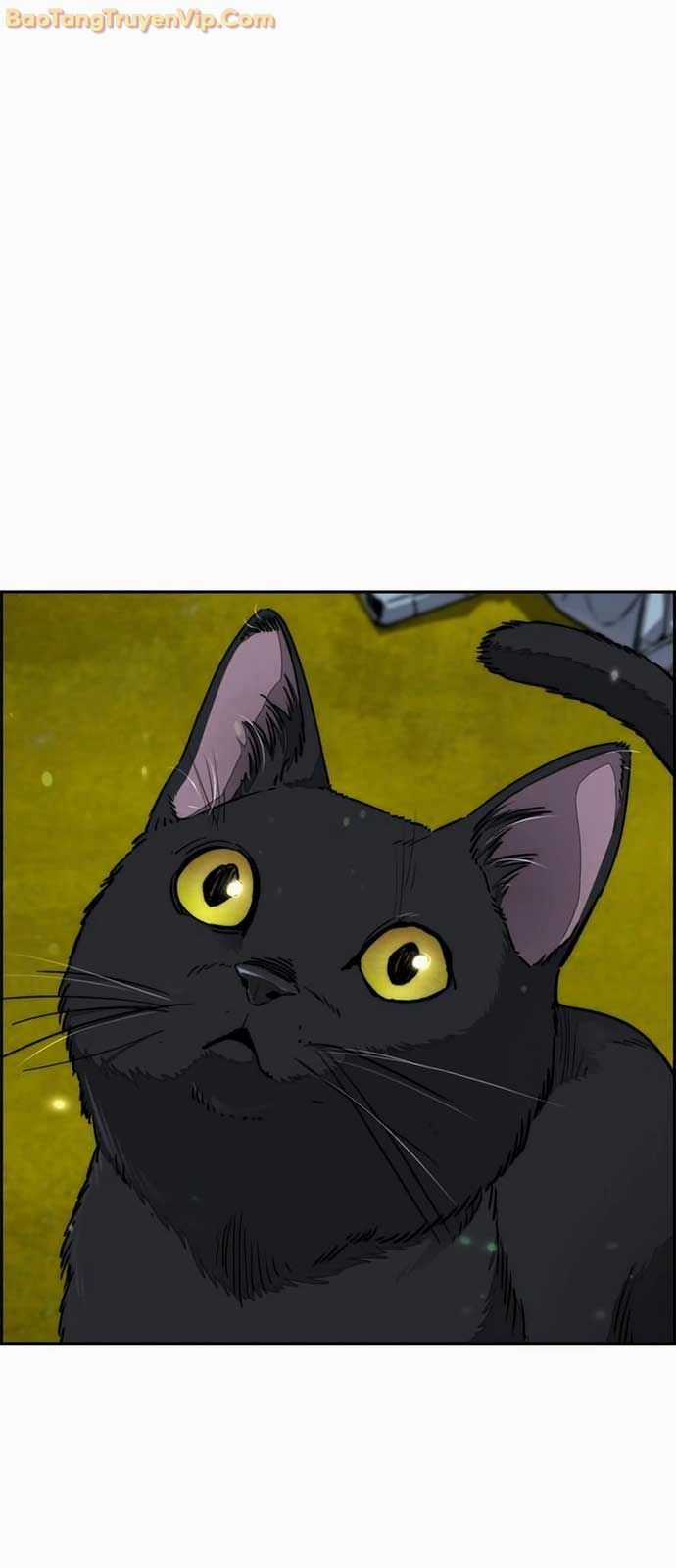 Thể Thao Cực Hạn - Chapter 549 - Trang 88