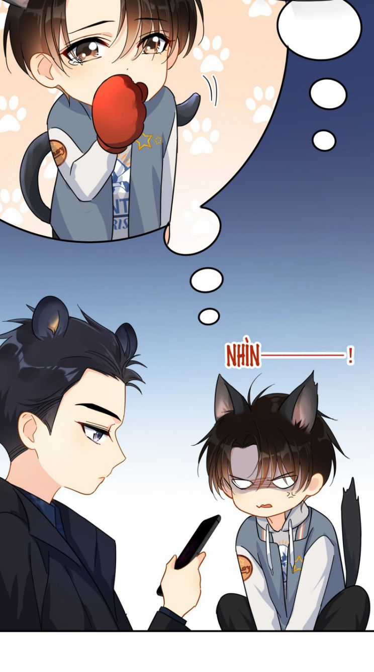 Theo Đuôi - Chapter 27 - Trang 15